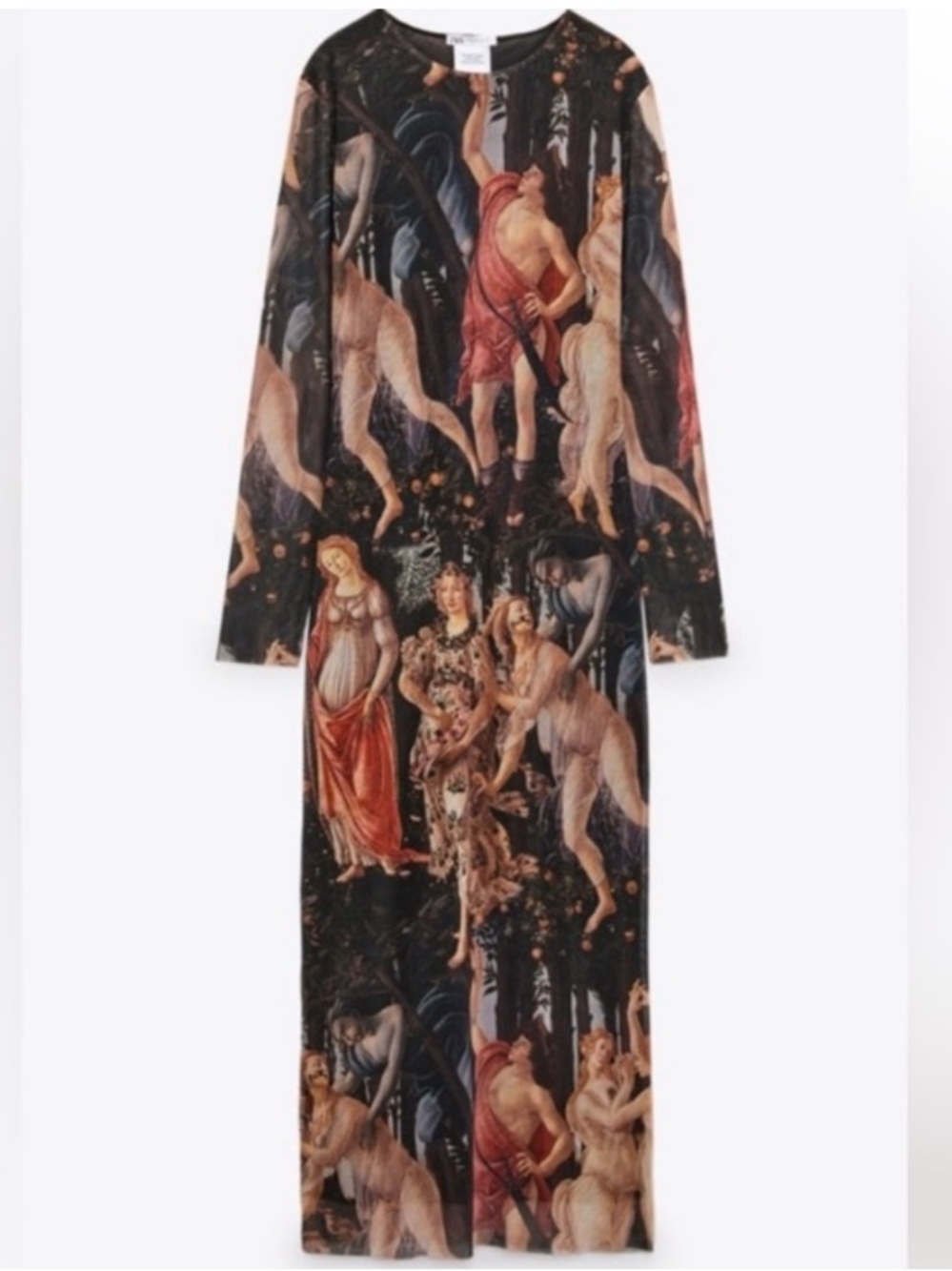 ZARA Botticelli Spring Art Print Mesh Midi Maxi Dress